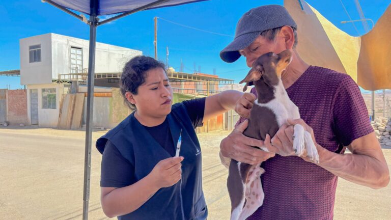 San Antonio realiza más de 1,000 desparasitaciones gratuitas a mascotas